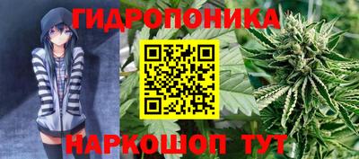 PSILOCYBIN Гусев