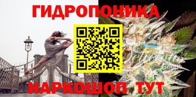 apvp Гусь-Хрустальный
