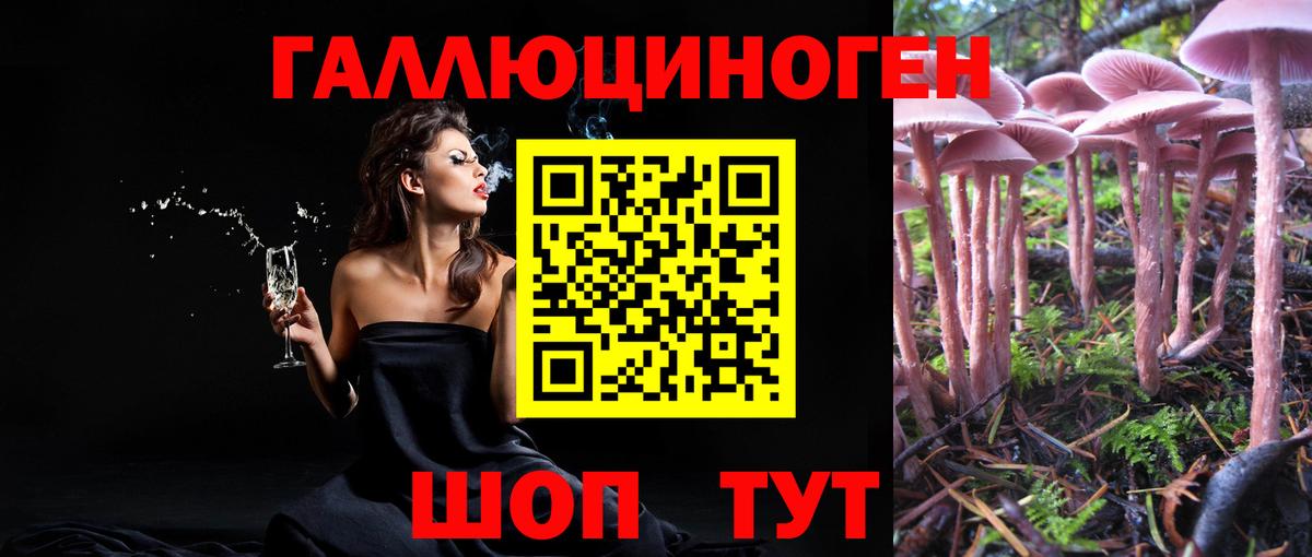 Лениногорск  Псилоцибиновые грибы Cubensis  Вход с VPN 
